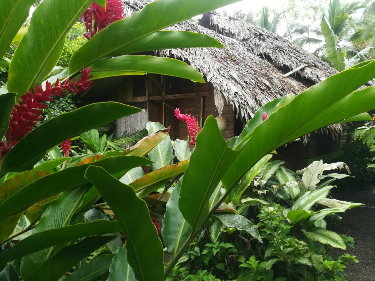 Posada Villamaga Эль-Валье Экстерьер фото